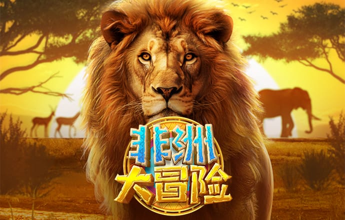 百家家乐