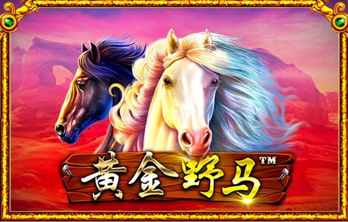 杨红公式论坛